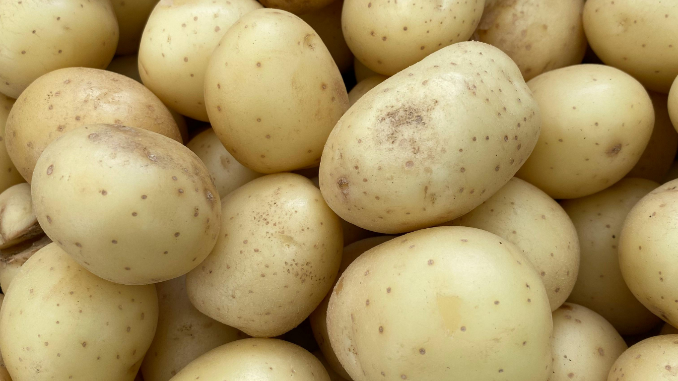 Fresh Potato Export from India