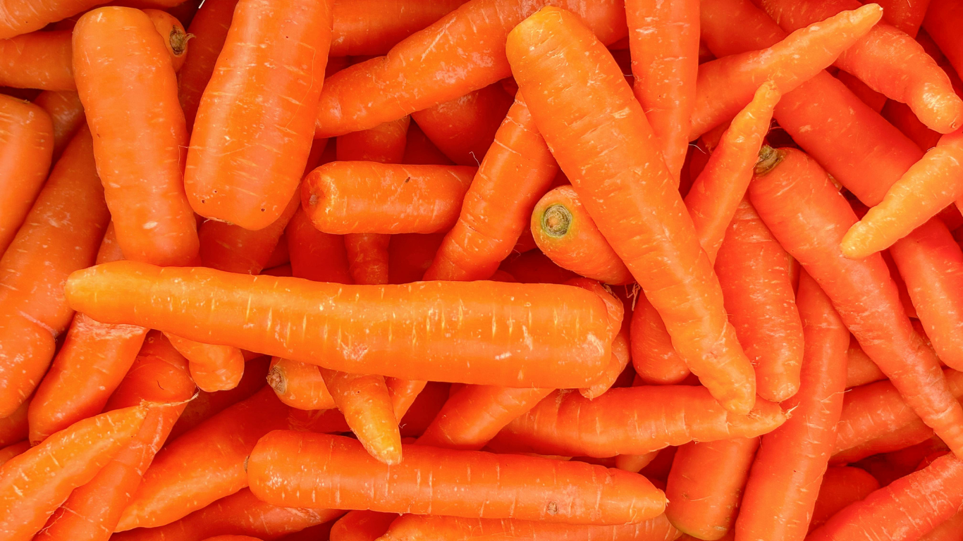 Fresh Carrot Export from India
