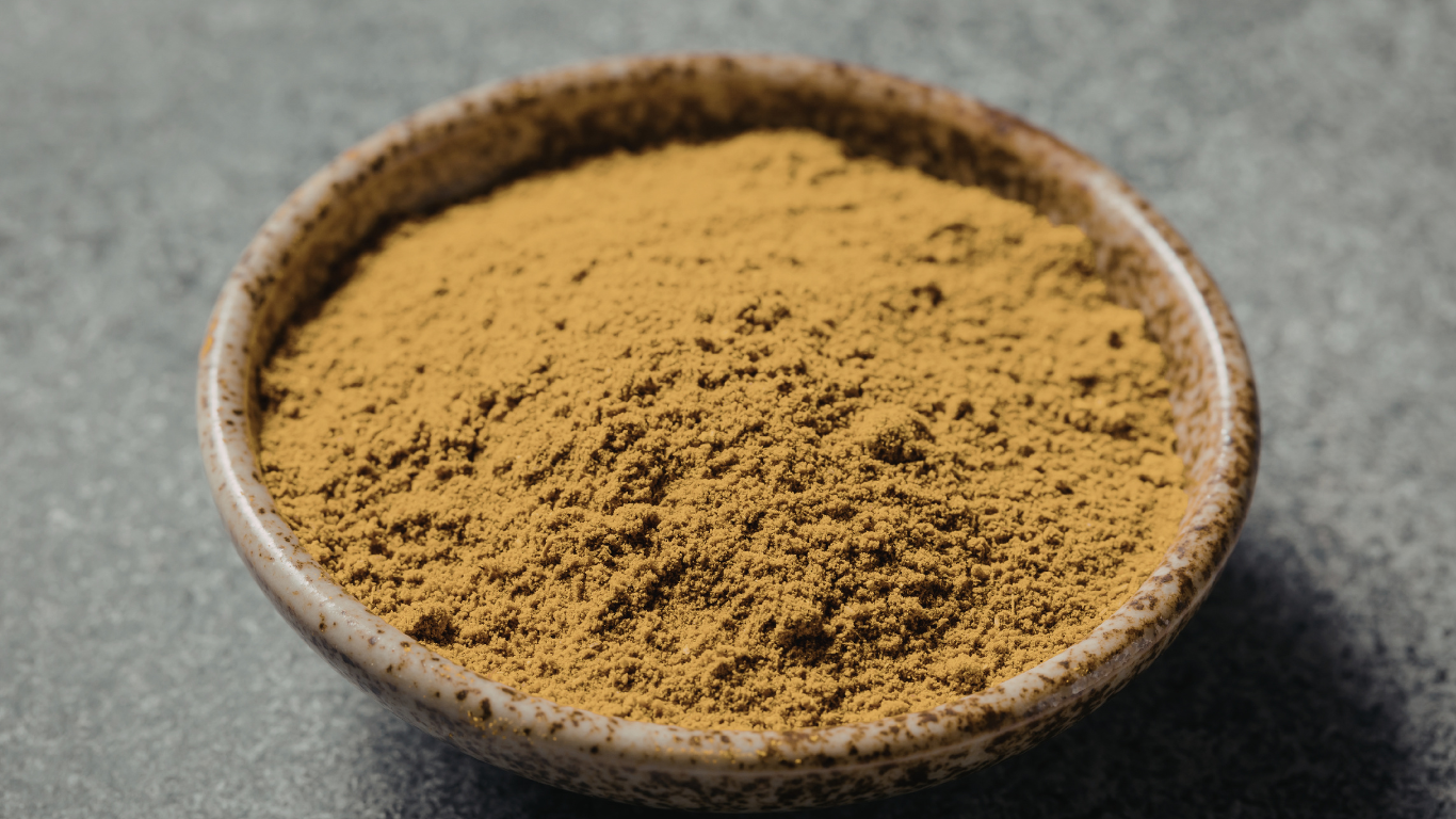 Coriander Powder Export from India