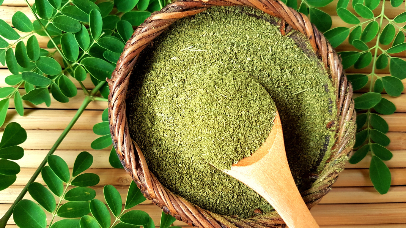 Moringa Powder Export from India