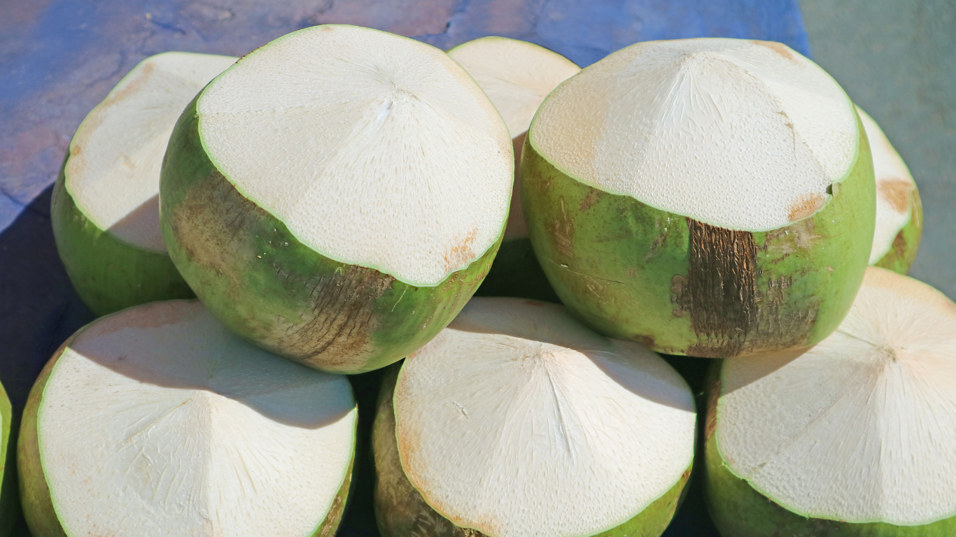 Tender Coconut Export from India